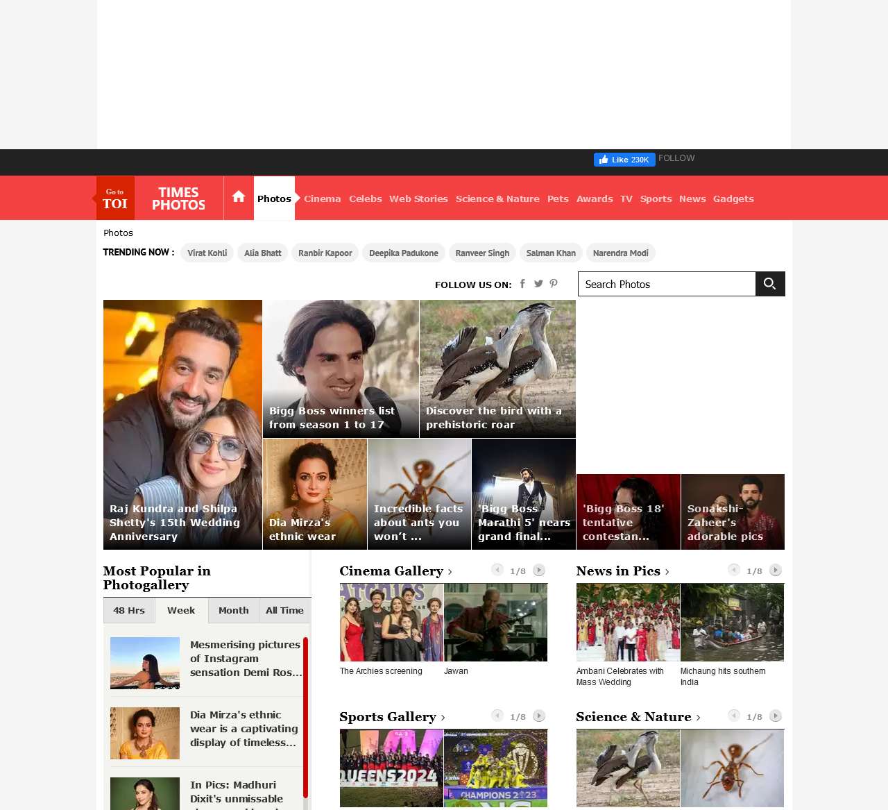 Hot Photos | Celebrities Photos | Photos of Bollywood Stars | Indian Models Photos | Asian Models Photos | Indian Stars Photos - The Times of India Photogallery